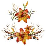 花纹