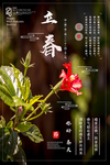 立春
