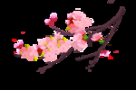 立春