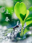 立春