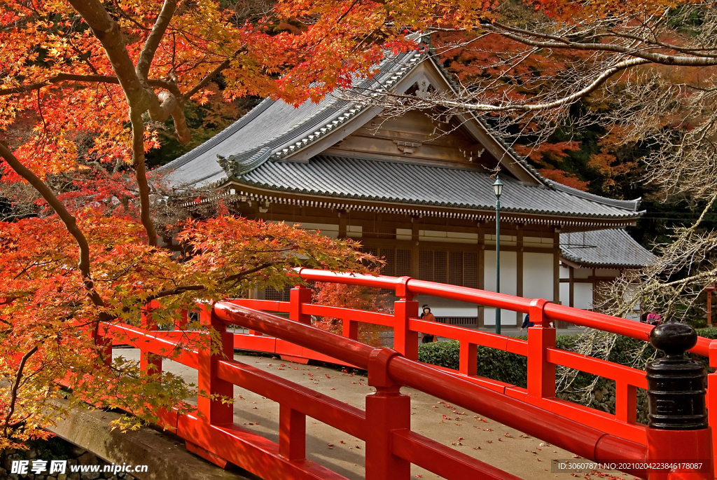 日本风景