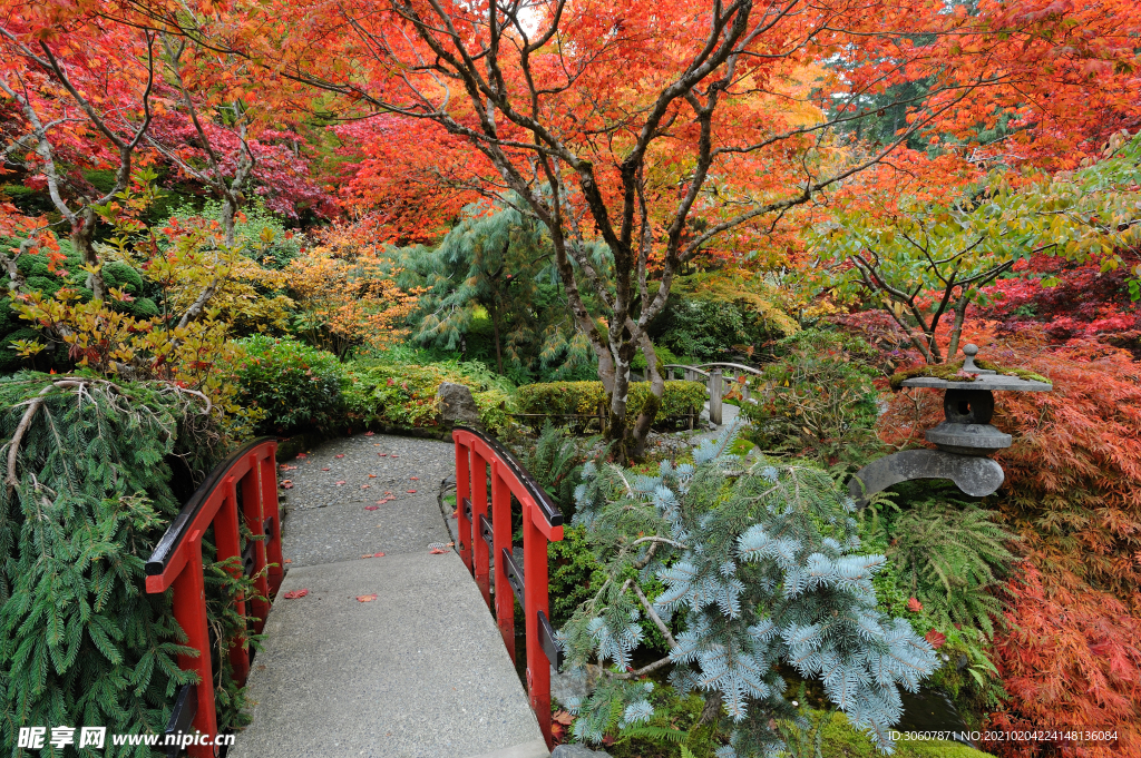 日本风景