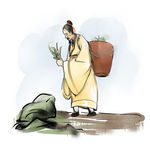 医师采药