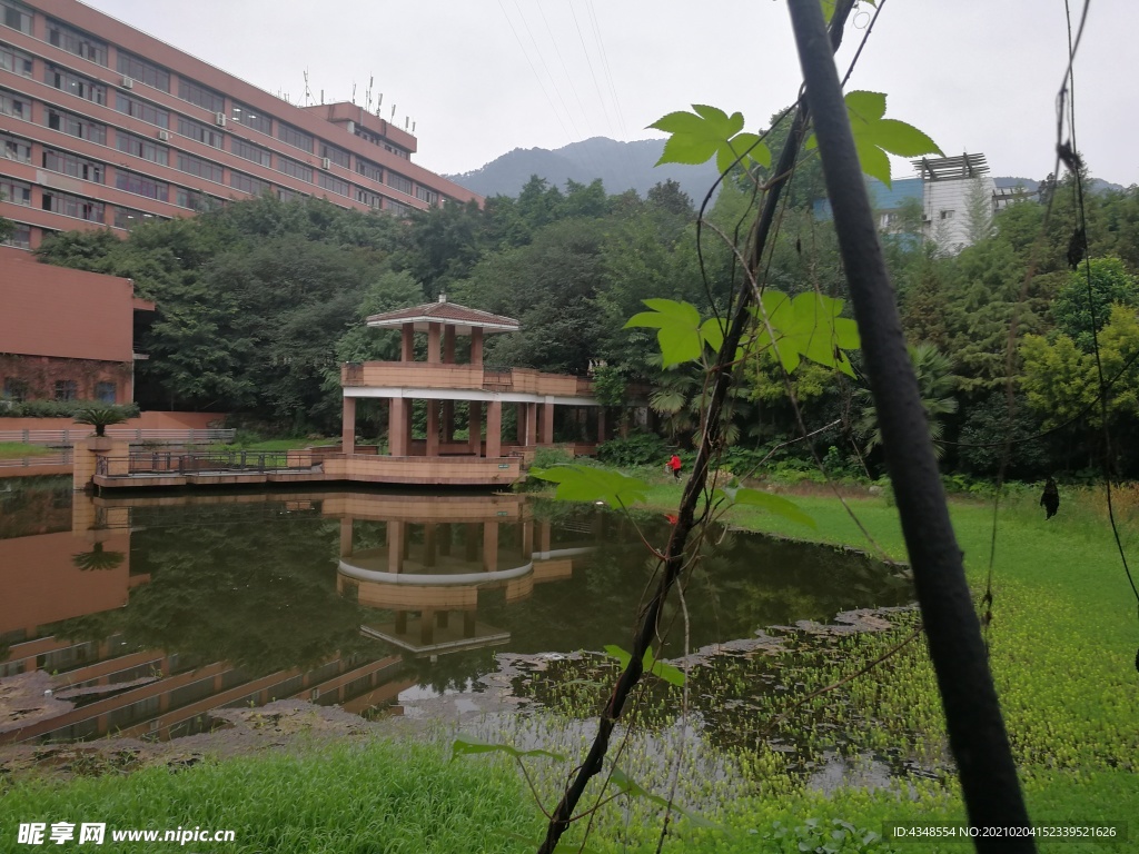 四川外国语大学