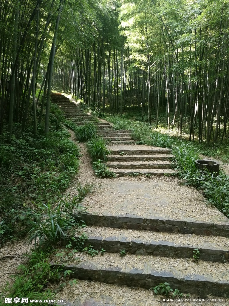 南京紫金山