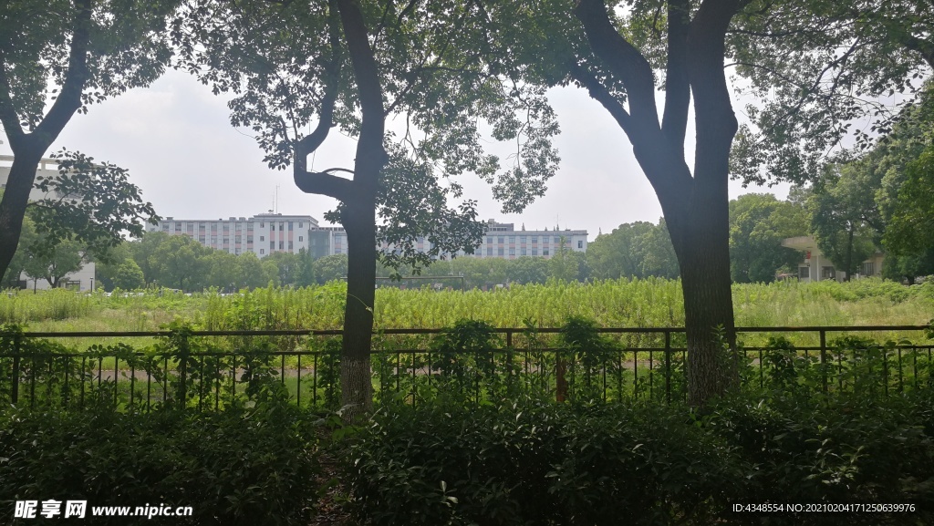 苏州大学北校区