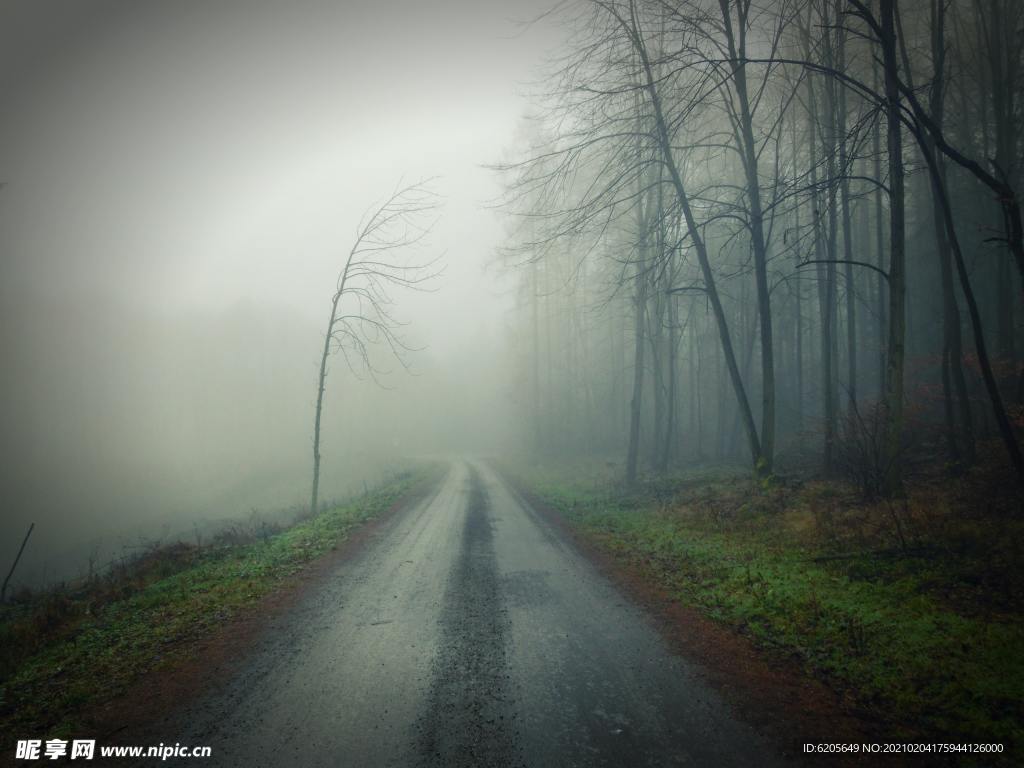 幽暗雾气浓厚小路