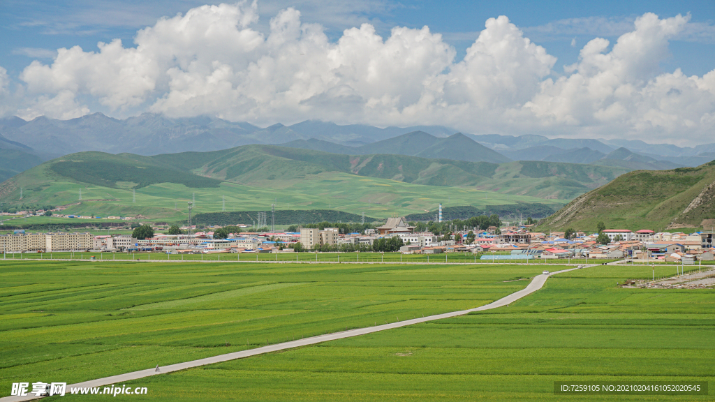 田园风光