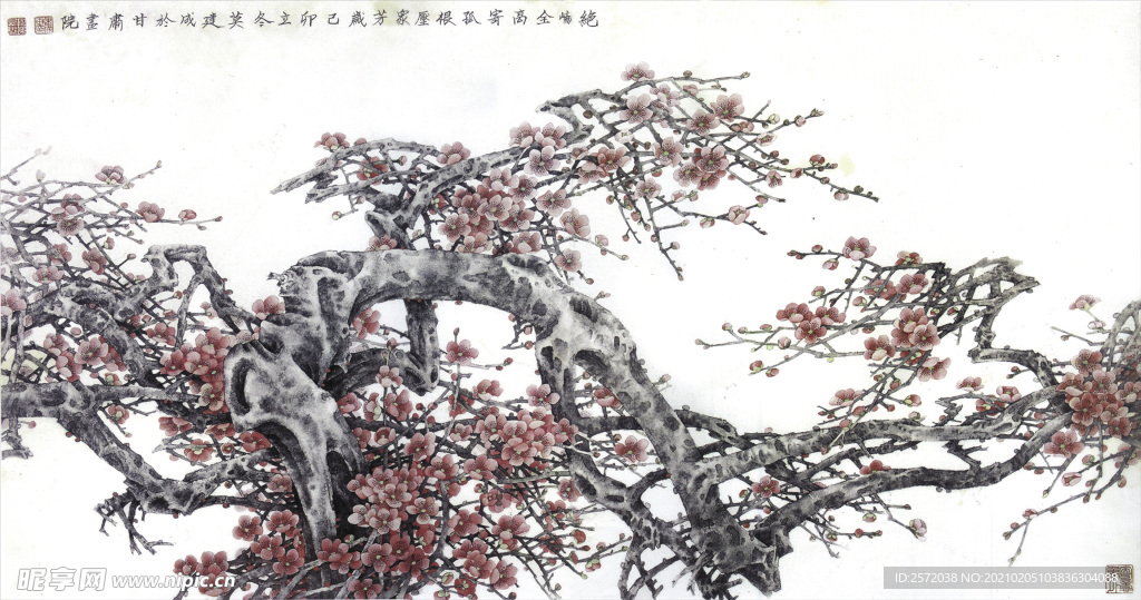 红梅花开