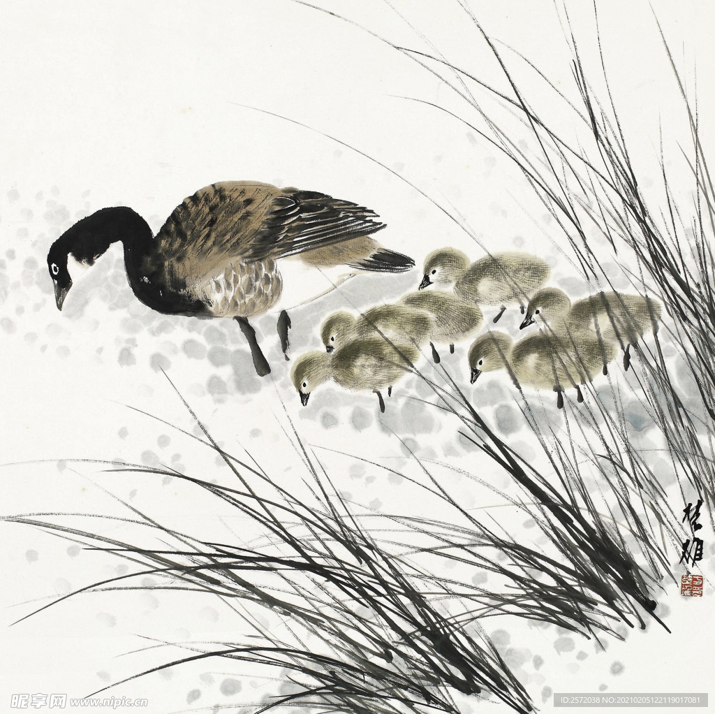 鸭子
