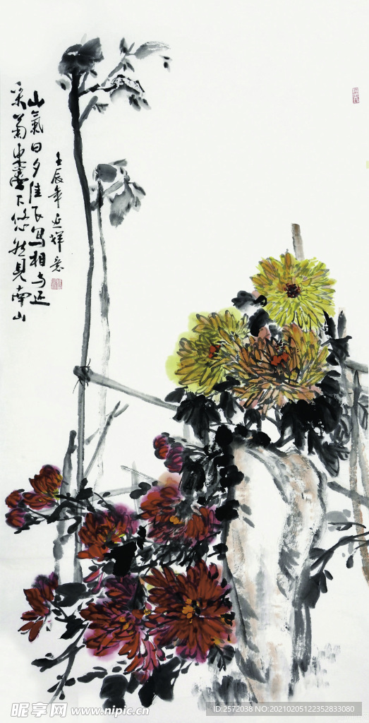 秋菊图