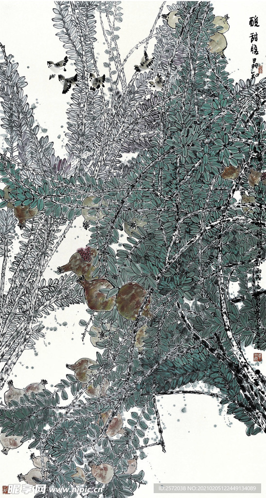 酸甜腹晶知