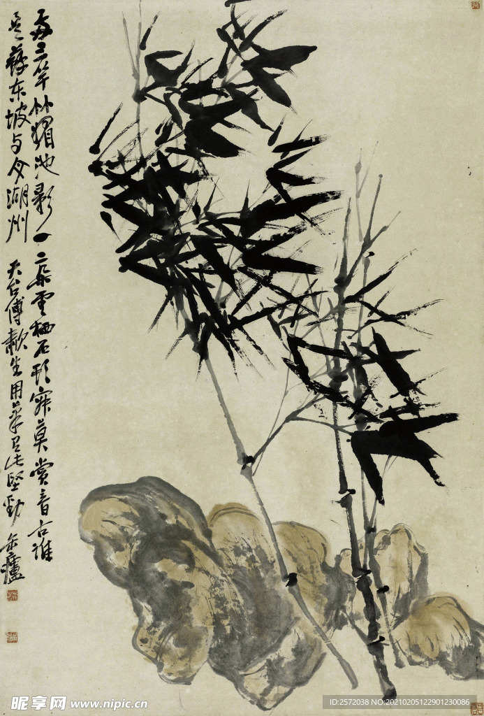竹石图