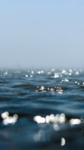 湖江海