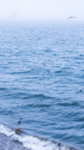 湖江海