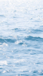 湖江海