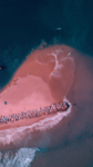 湖江海