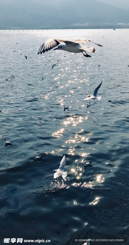湖江海