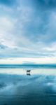 湖江海
