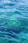 湖江海