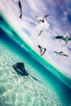 湖江海
