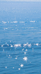 湖江海
