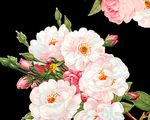 鲜花
