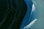 海
