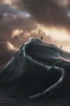 海