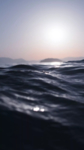 海