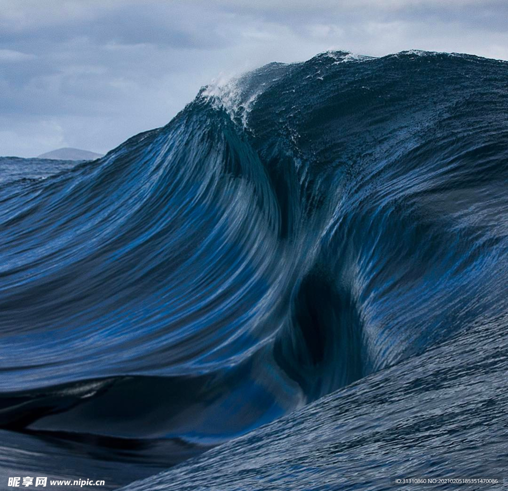 海
