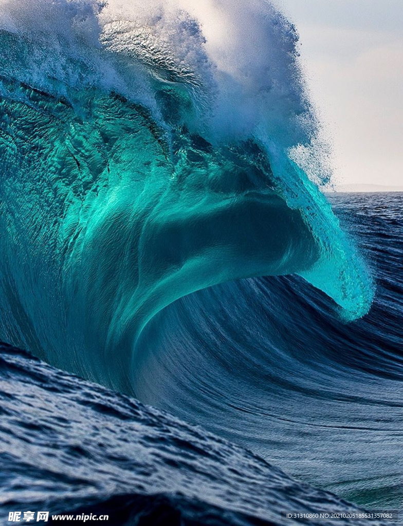 海
