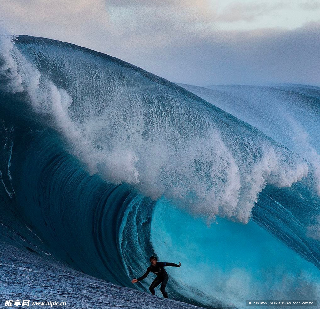 海