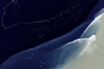 海