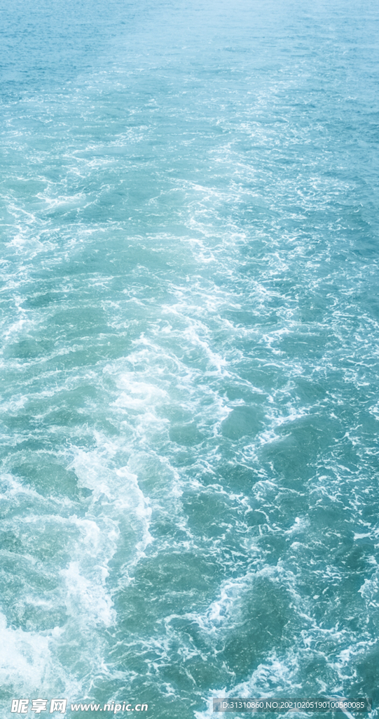 海