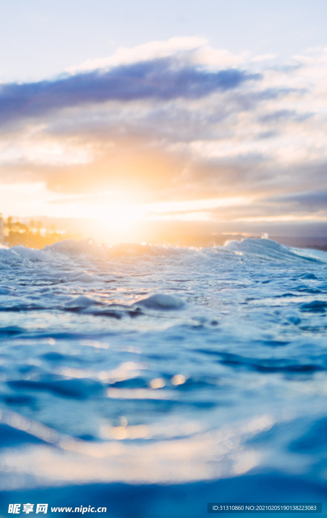 海