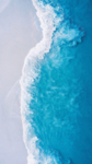 海