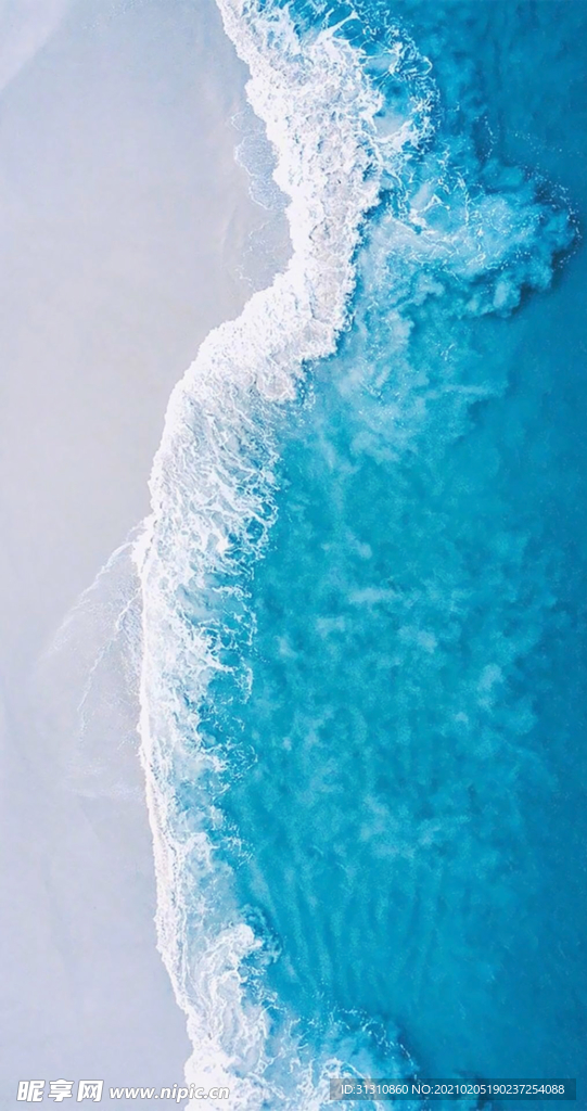 海