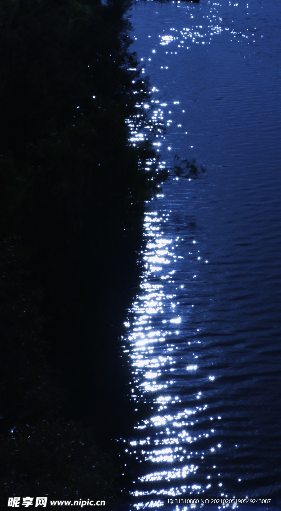 海