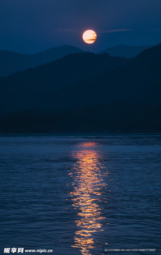 海
