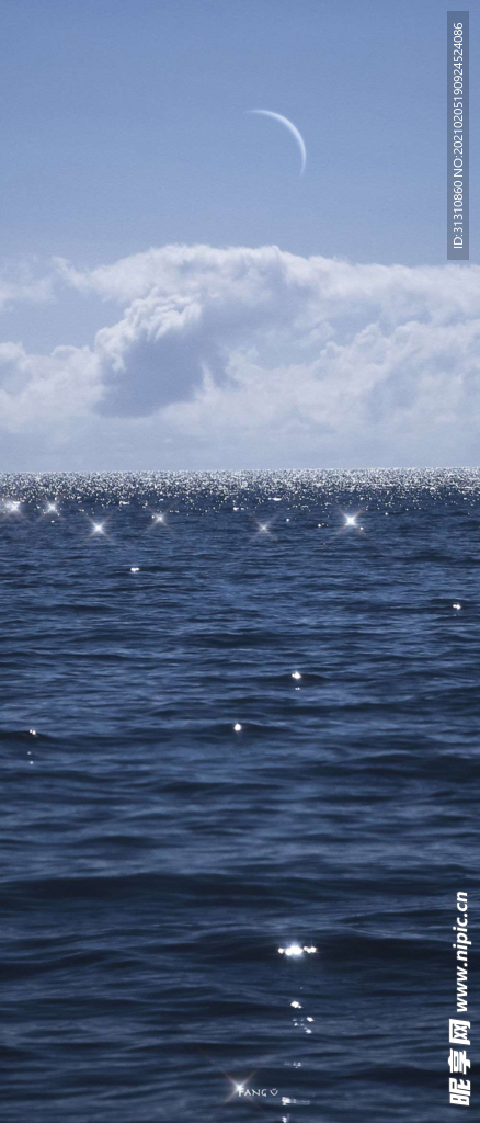 海