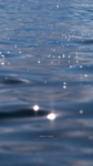 海