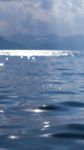 海