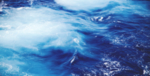 海