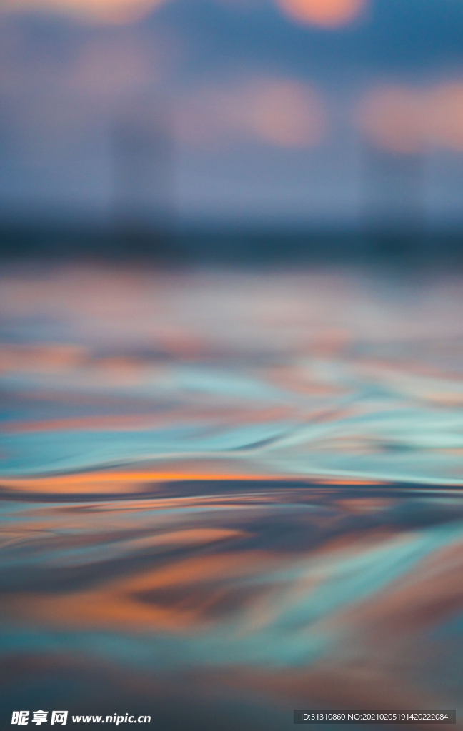 海