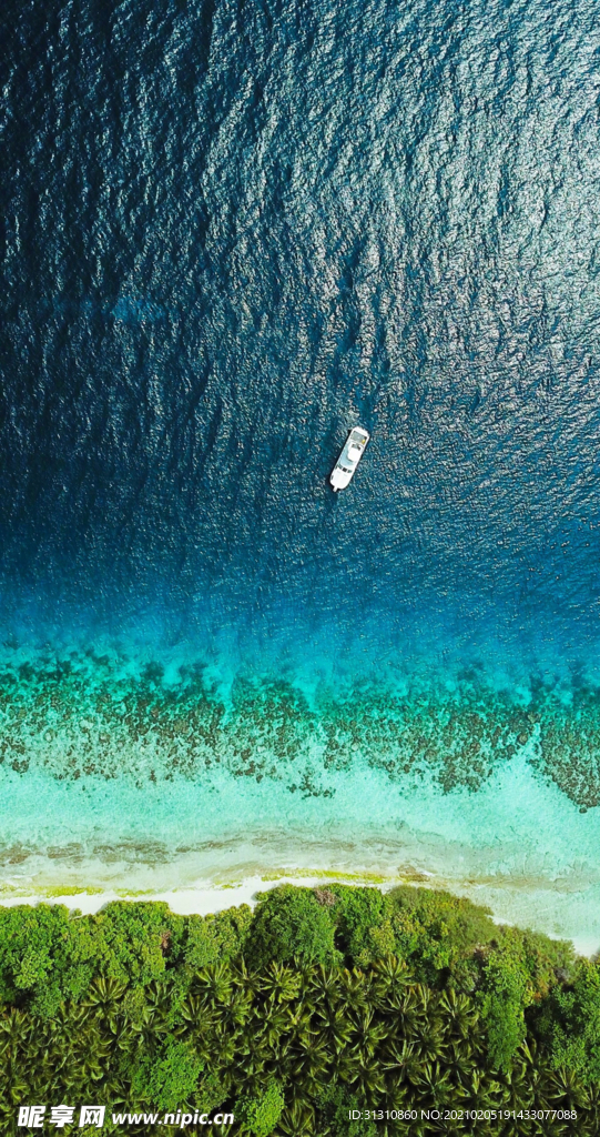 海