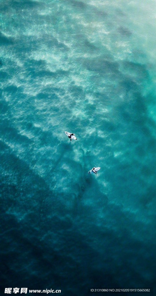 海