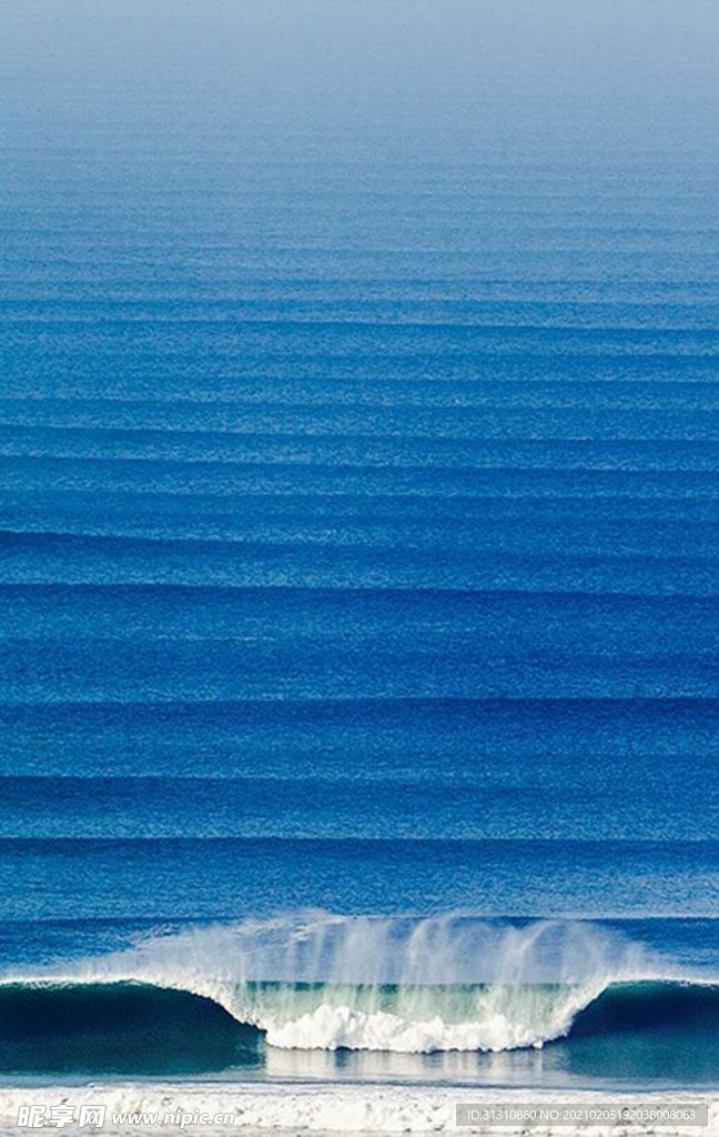 海