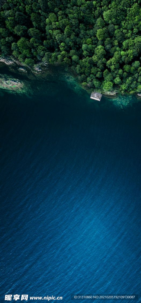 海