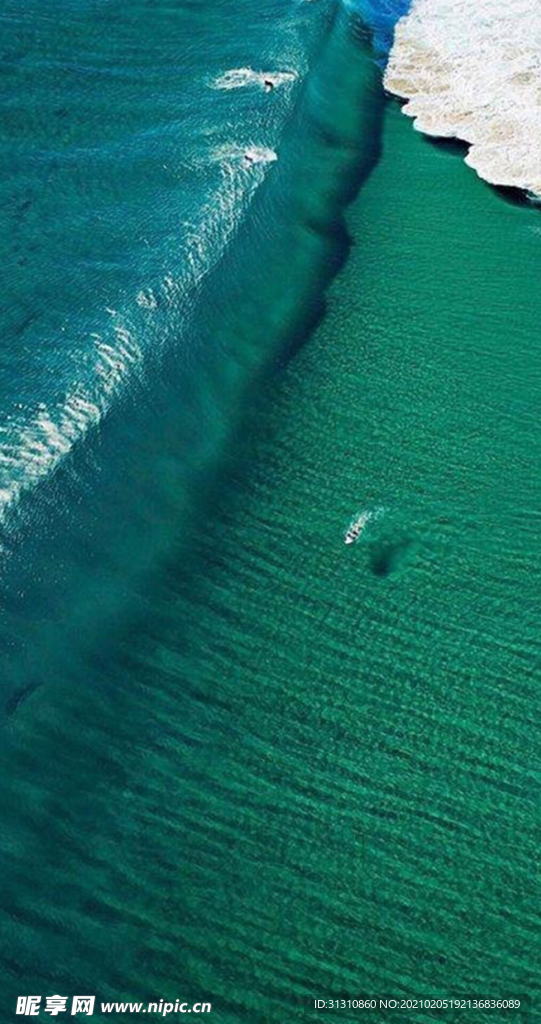海